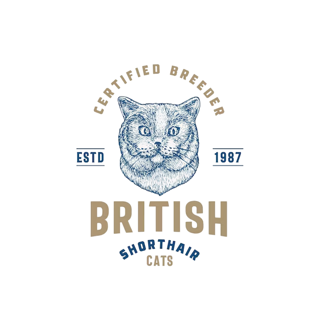 British Shorthair Kittens  For Sale